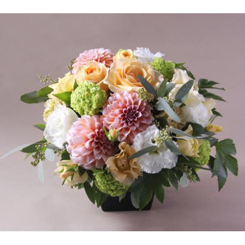 �I���W�i���A�����W�����g �k�C�G���[