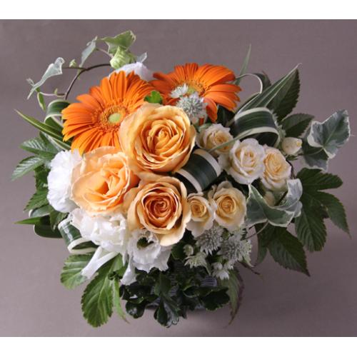 �I���W�i���A�����W�l�i�I�����W�j