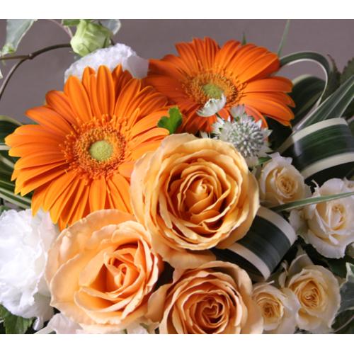 �I���W�i���A�����W�l�i�I�����W�j2