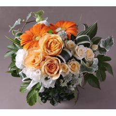 �I���W�i���A�����W�l�i�I�����W�j