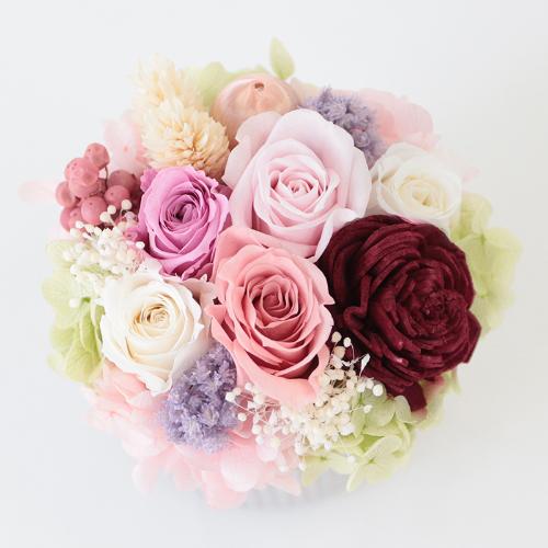 �v���U�[�u�h�A�����W�u���E�i�`���[���v2