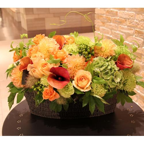 �I���W�i���o�X�P�b�g�u�p���e�[���v�k