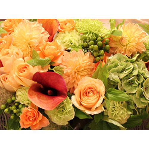 �I���W�i���o�X�P�b�g�u�p���e�[���v�k2