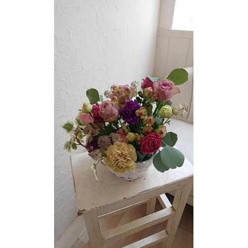 KAORUKO�F�̂������ȃA�����W�����g3