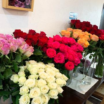 �X�^�b�t�摜