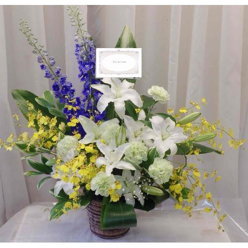 �Ăɂ҂�����̃A�����W�ł��������E�J�[�l�[�V�����E�I���V�W���[���̓������A�����W�����g�ł��B