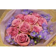 ���o���ƃf���t�B�j���[���̉ԑ���