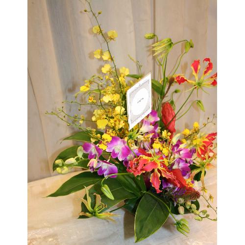�Ă̑��蕨�ɂ͂҂�����̃g���s�J���A�����W��2