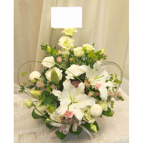 �yNEW�z�������Ō��I�ȃA�����W�i���n�j2