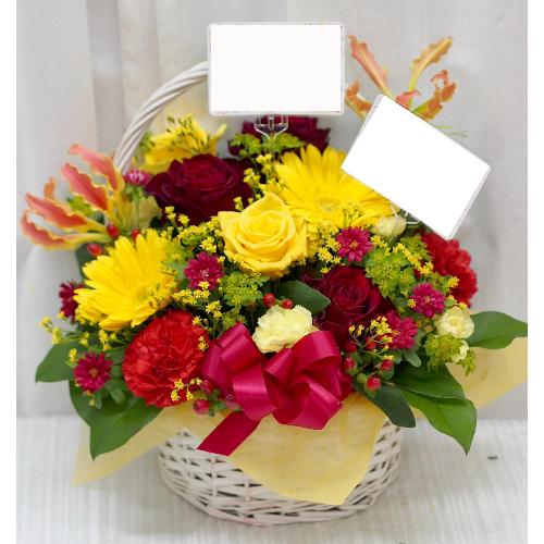 �sNEW!!�t�N�₩�ȐF�����ő�l�����A�����W��