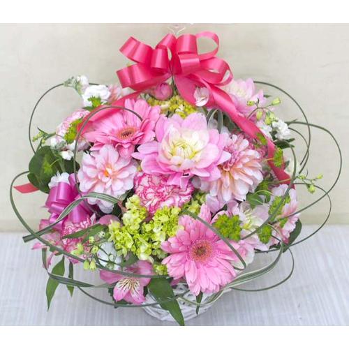 ��Η~�����I�L���[�g�ȃA�����W��