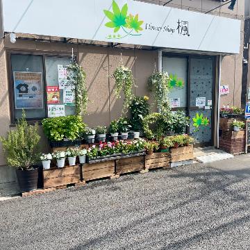 �X�܊O�ω摜