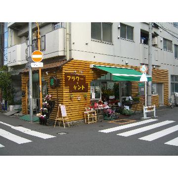 �X�܊O�ω摜