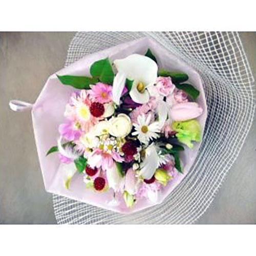 ���̉H������@�_���V���O�u�[�P�@(^^�j��
