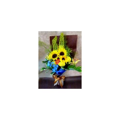 ���z�̌b�݁I�Ђ܂��̉ԑ�