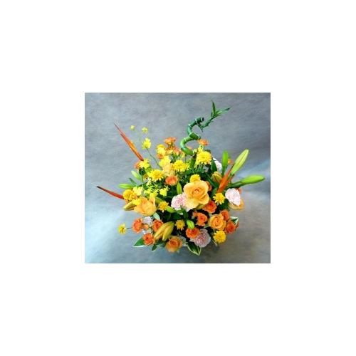 �C���u���I�I�����W�F�ł܂Ƃ߂��A�����W�����g�I2