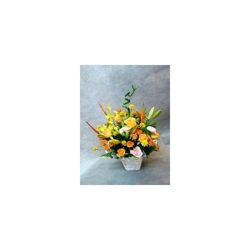 �C���u���I�I�����W�F�ł܂Ƃ߂��A�����W�����g�I3