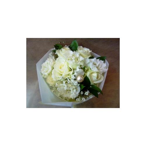 �傫�ȃp�[�����P���@�����̃g�X�u�[�P�I