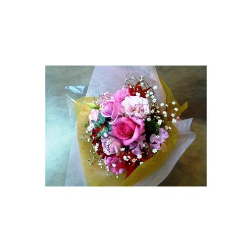 �ڂ��^���������@���u�E�s���N�@�G�߂̃u�[�P