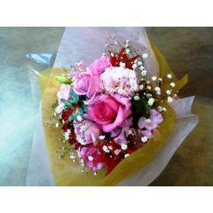 �ڂ��^���������@���u�E�s���N�@�G�߂̃u�[�P