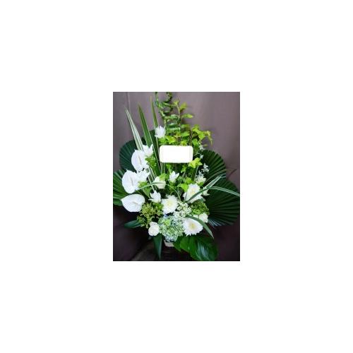 �C�i���Ƃ�����ꂳ�ŏ����I�A�s�[���x���Q�I�I