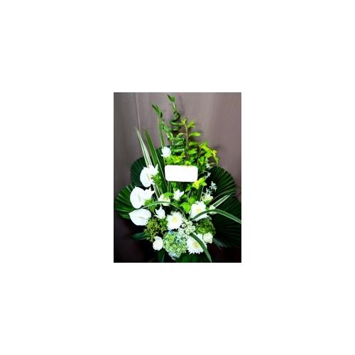 �C�i���Ƃ�����ꂳ�ŏ����I�A�s�[���x���Q�I�I2