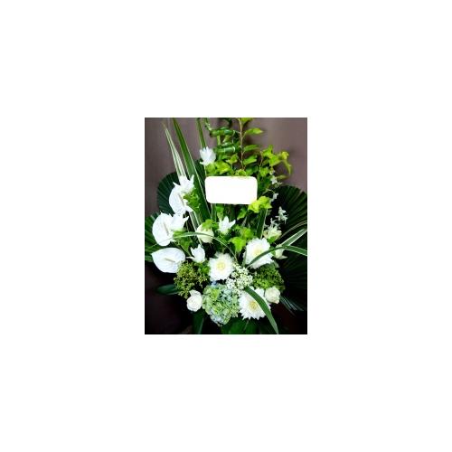 �C�i���Ƃ�����ꂳ�ŏ����I�A�s�[���x���Q�I�I3