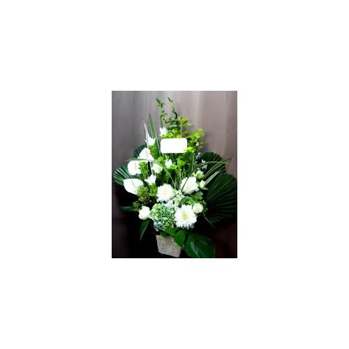 �C�i���Ƃ�����ꂳ�ŏ����I�A�s�[���x���Q�I�I4