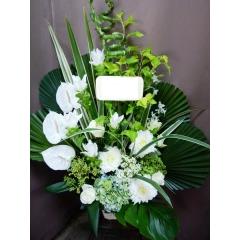 �C�i���Ƃ�����ꂳ�ŏ����I�A�s�[���x���Q�I�I