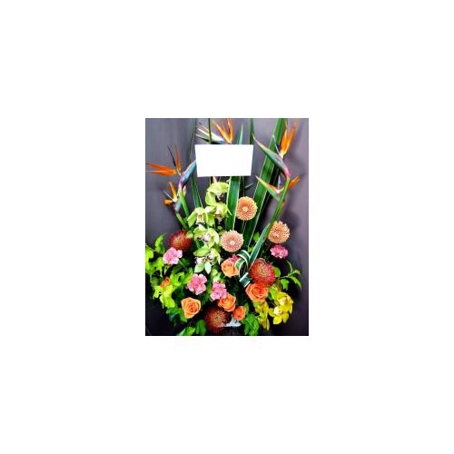 �I�����W�F�̉؂₩�ȉ�4