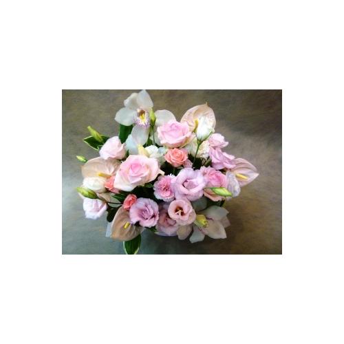 �S���a�ށE�E�E�ӂ���ƁI�����ƁI