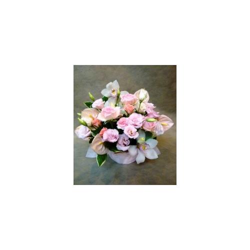 �S���a�ށE�E�E�ӂ���ƁI�����ƁI2