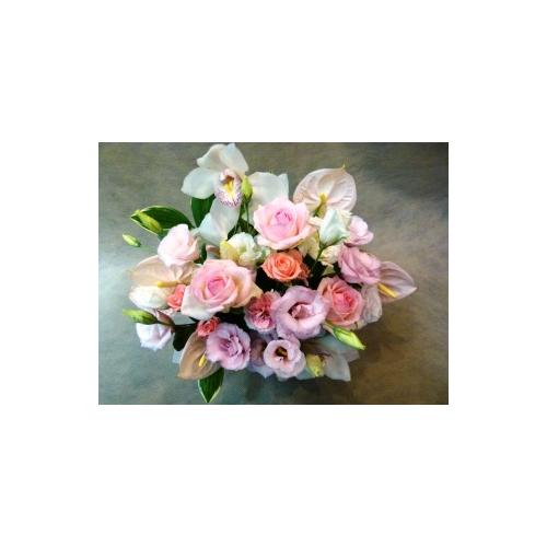 �S���a�ށE�E�E�ӂ���ƁI�����ƁI3