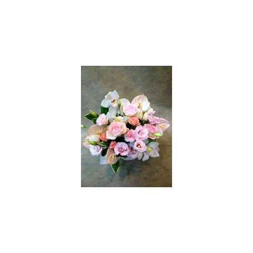�S���a�ށE�E�E�ӂ���ƁI�����ƁI4
