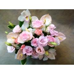 �S���a�ށE�E�E�ӂ���ƁI�����ƁI
