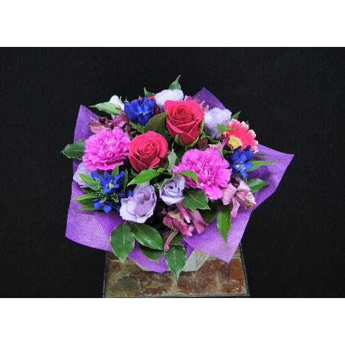 �o�C�I���b�g�n�̂������ȃA�����W�����g2