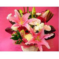 �s���N�����̂������A�����W�����g