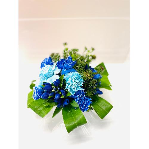 �n���A�����W�����g