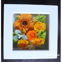 �K���̊z�@�v���U�[�u�h�@���F�n/P431