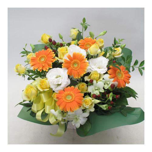 �r�^�~���J���[�̃A�����W(A343�j
