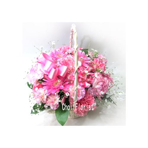 �s���N�n�A�����W/A694