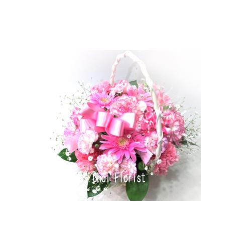 �s���N�n�A�����W/A6942