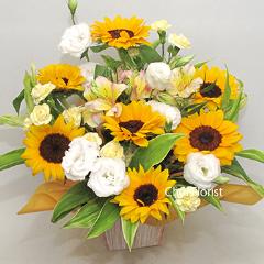 �q�}�����A�����W�^�`230