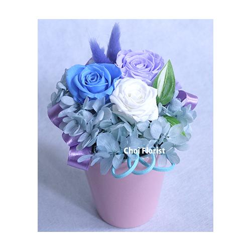 �u�[���A�p�[�v���n�v���U�[�u�h/P445