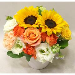 �q�}�����A�����W�^A6912