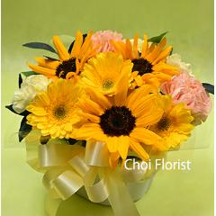 �q�}�����A�����W�i�`9257�j
