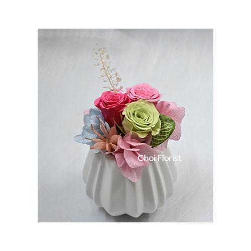 �v���U�[�u�h/���̐S(�s���N�n�j/P6012