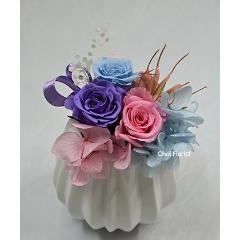 �v���U�[�u�h/���̐S(�s���N�n�j/P601