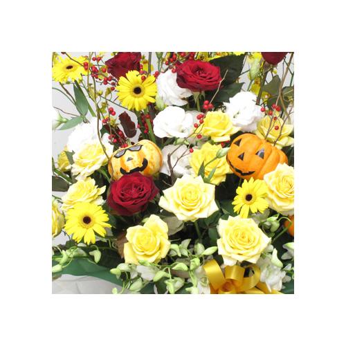�g�`�o�o�x�@�n���[�E�B���̍Ղ�(�`335)3
