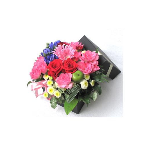 ���ӂƈ������߂�Box(�`550�j